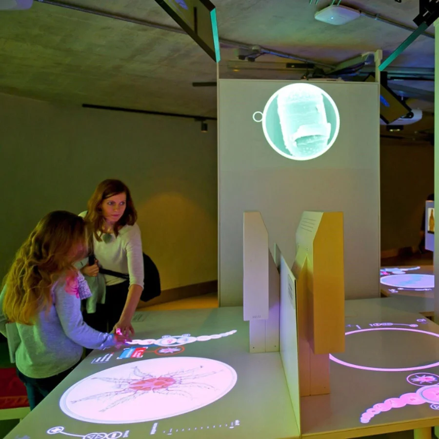 Interactive projector screen paint science exhibit
